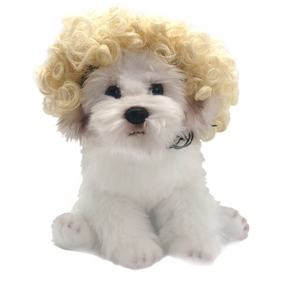 Dog Toys