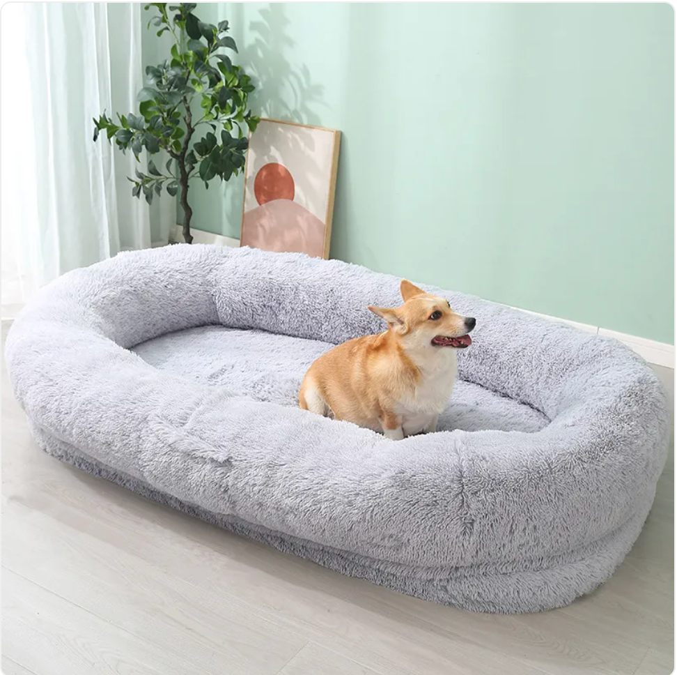 Pet Beds