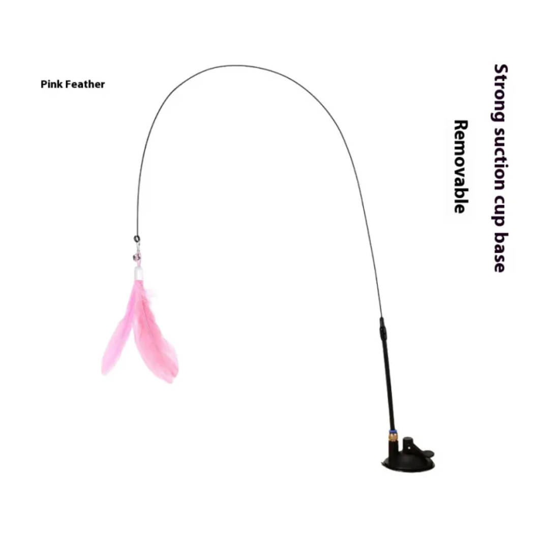 Cat Toy